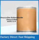 Doxycycline Hydrochloride (Doxycycline)